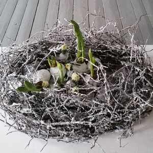 Autore: Elita Vīna, Sigulda, Latvija.